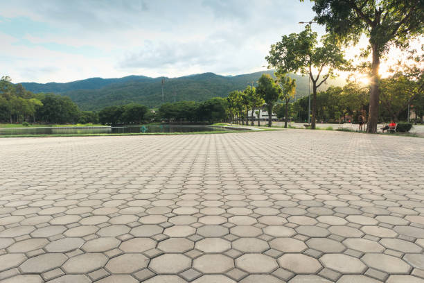 Best Residential Paver Driveway  in Ridgewood, IL